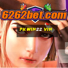 Pkwin22 Vin